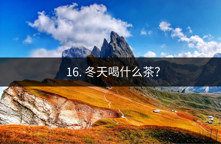 ? 16. 冬天喝什么茶？