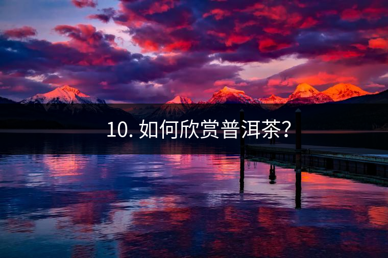 ? 10. 如何欣賞普洱茶？