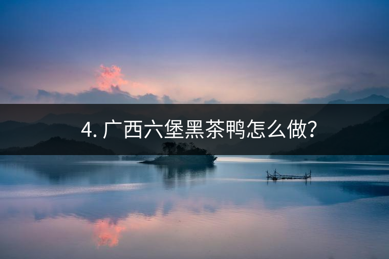? 4. 廣西六堡黑茶鴨怎么做？