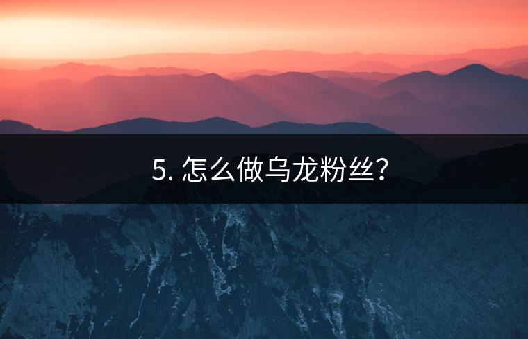 ? 5. 怎么做烏龍粉絲？
