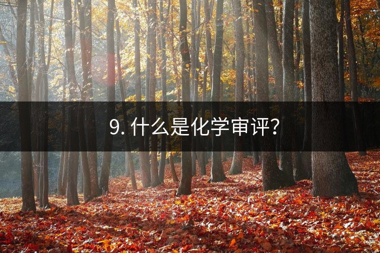 ? 9. 什么是化學(xué)審評？