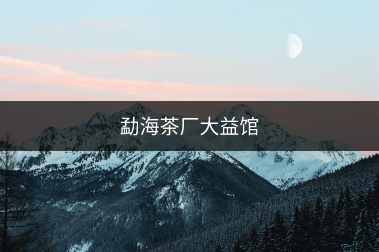 勐海茶廠大益館 勐海茶廠大益館