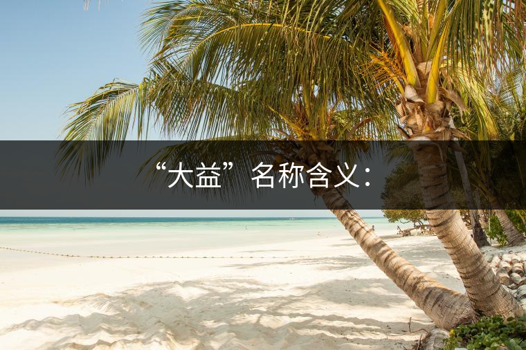 “大益”名稱(chēng)含義：