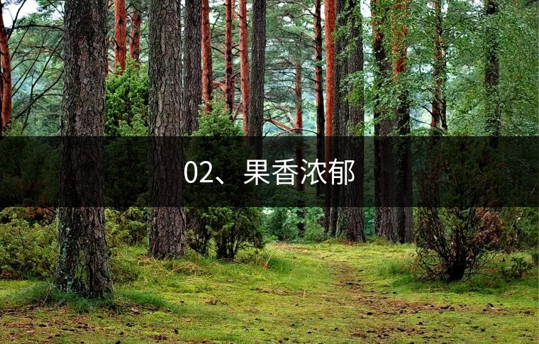 02、果香濃郁