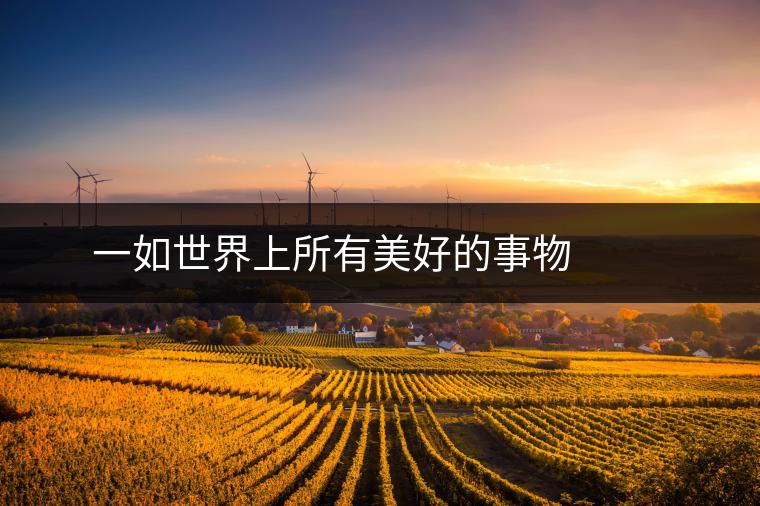 ? ? ? 一如世界上所有美好的事物，百花潭美麗但卻稀少。稀疏而分散生長的古樹林，采摘難度極大。近幾年，百花潭大小樹春茶季鮮葉產(chǎn)量約4-5噸，毛茶量1噸以上，而頭春的古樹茶僅有800公斤左右。