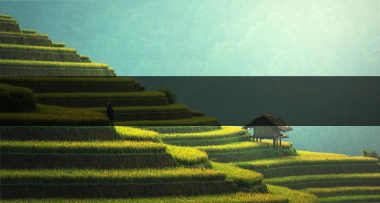 　　是什么支撐著一個家庭作坊式的小廠成長為一個產(chǎn)值上億元的現(xiàn)代企業(yè)？