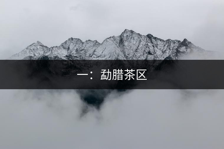 一：勐臘茶區(qū)