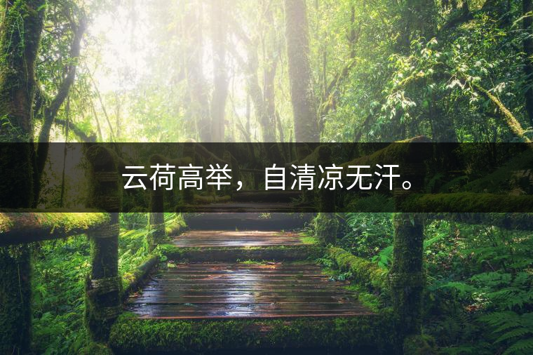 云荷高舉，自清涼無(wú)汗。