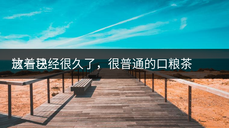 這一塊
放著已經(jīng)很久了，很普通的口糧茶，煙味很重，但回甘也可以，隨意喝喝吧。