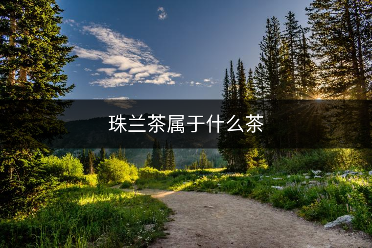 珠蘭茶屬于什么茶