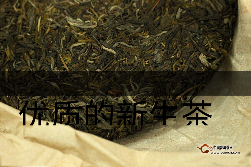 優(yōu)質(zhì)的新生茶是什么樣的？