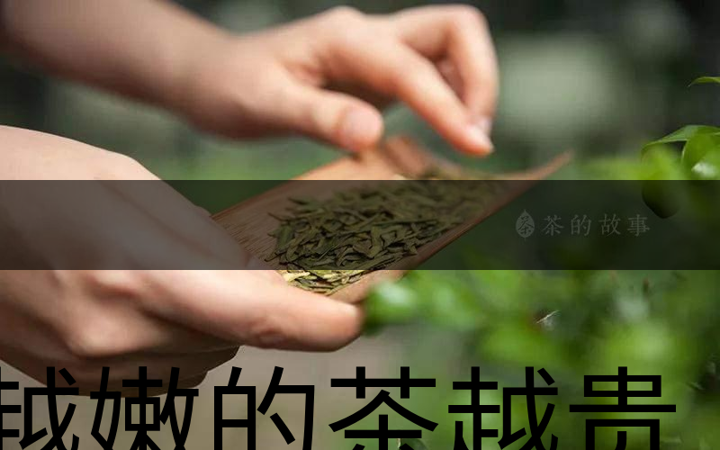 越嫩的茶越貴，但越貴的茶就越好嗎？