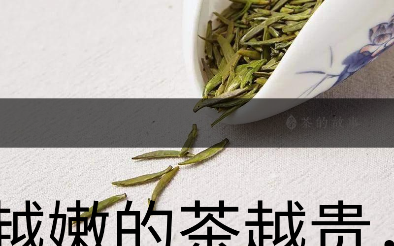越嫩的茶越貴，但越貴的茶就越好嗎？-1