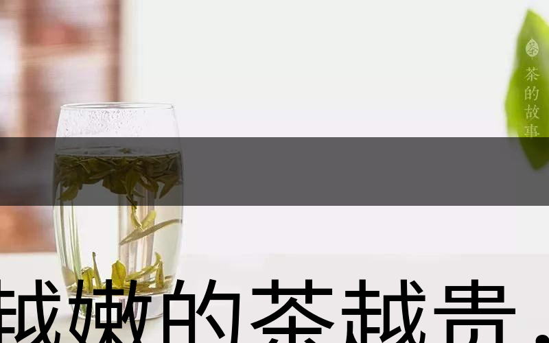 越嫩的茶越貴，但越貴的茶就越好嗎？-2