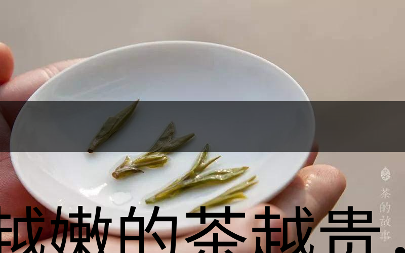 越嫩的茶越貴，但越貴的茶就越好嗎？-3