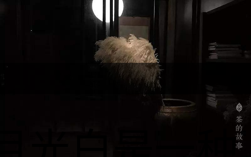 月光白是一種什么茶？