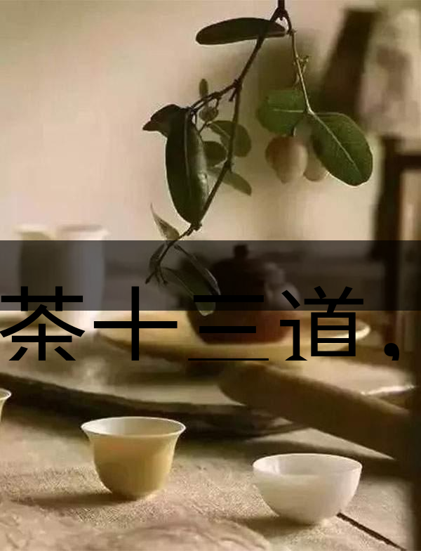 喝茶十三道，道道皆精華！-2