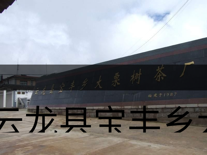 云龍縣寶豐鄉(xiāng)大栗樹茶廠簡(jiǎn)述-1
