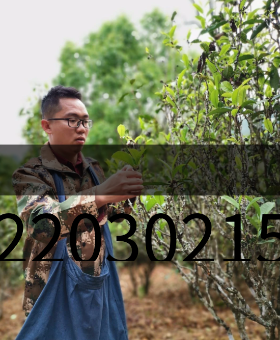 20220302154626549002 20220302154626549002