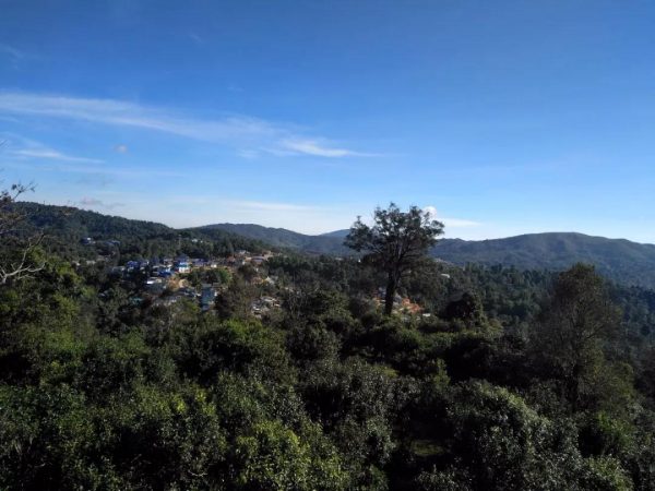 蘭香賀開，甘甜賀開