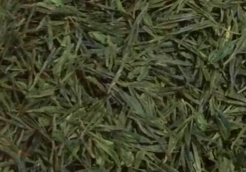 什么是海青茶？沖泡手法詳細(xì)教學(xué)！