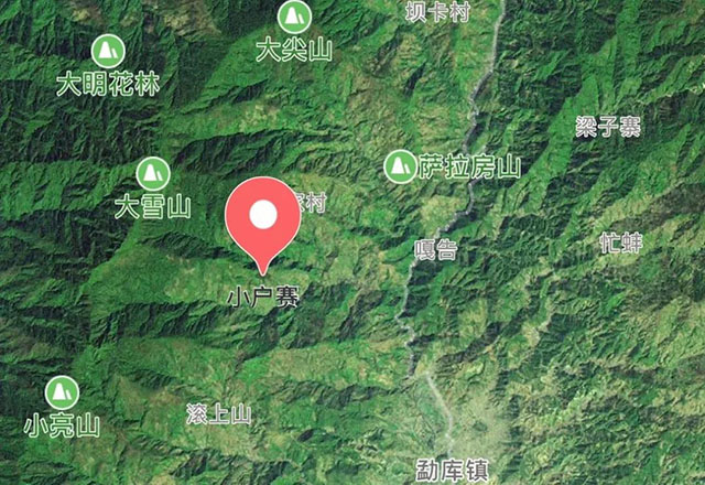 2021年小戶賽古樹秋茶有什么特點(diǎn)？