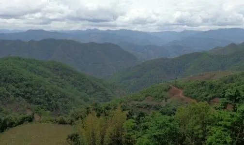 2021那罕古樹秋茶特點(diǎn)？