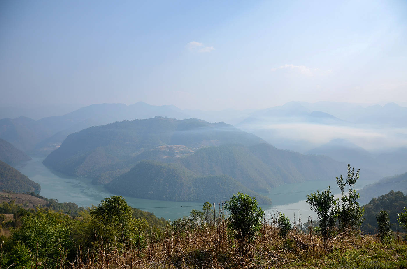 2021年白鶯山古樹秋茶，佛茶有什么魅力？