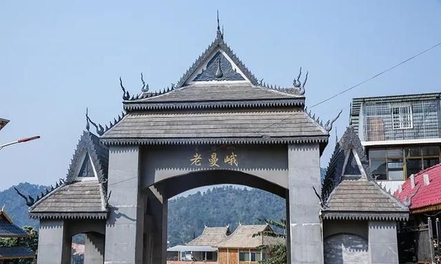 2021年老曼峨古樹秋茶特點？