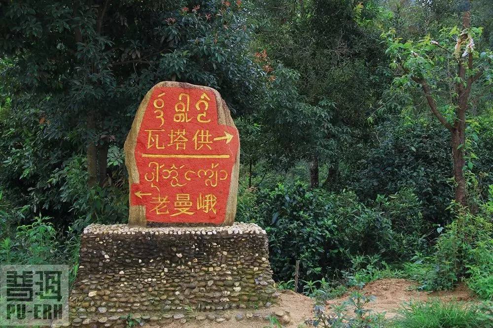 2021年老曼峨古樹秋茶價格多少？