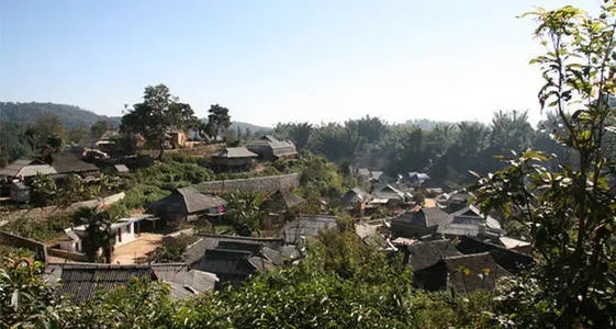 2021年班章茶區(qū)壩卡竜古樹(shù)秋茶多少錢(qián)一公斤？