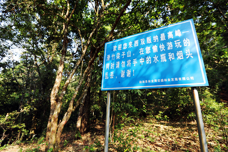 2021年滑竹梁子古樹秋茶價格？