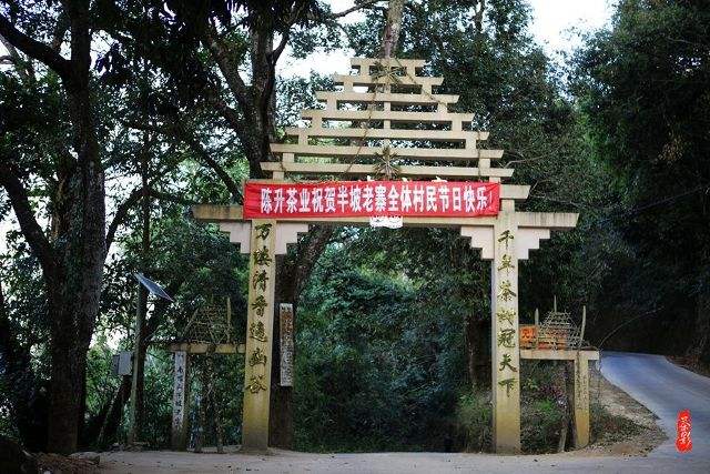 2021年南糯山半坡老寨古樹秋茶價格？