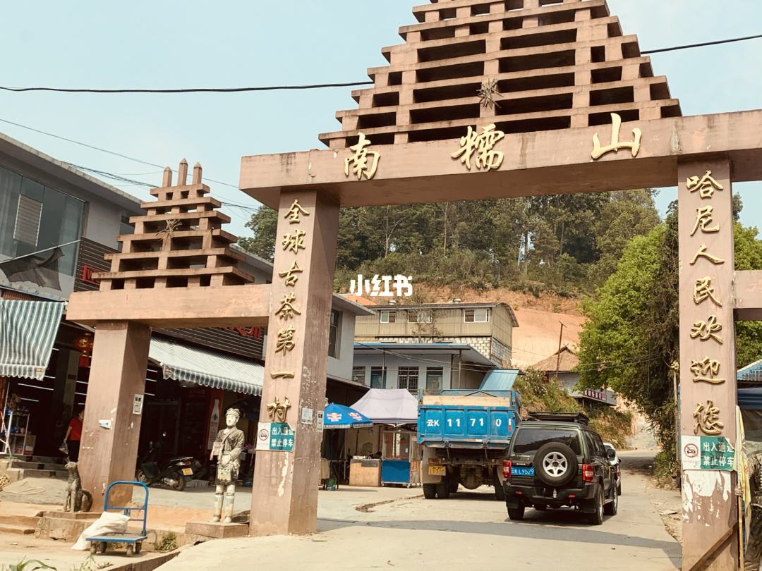 2021年南糯山半坡老寨古樹秋茶多少錢一公斤？