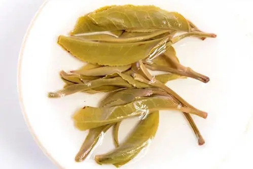 2021年南糯山拔瑪老寨古樹秋茶多少錢一公斤？