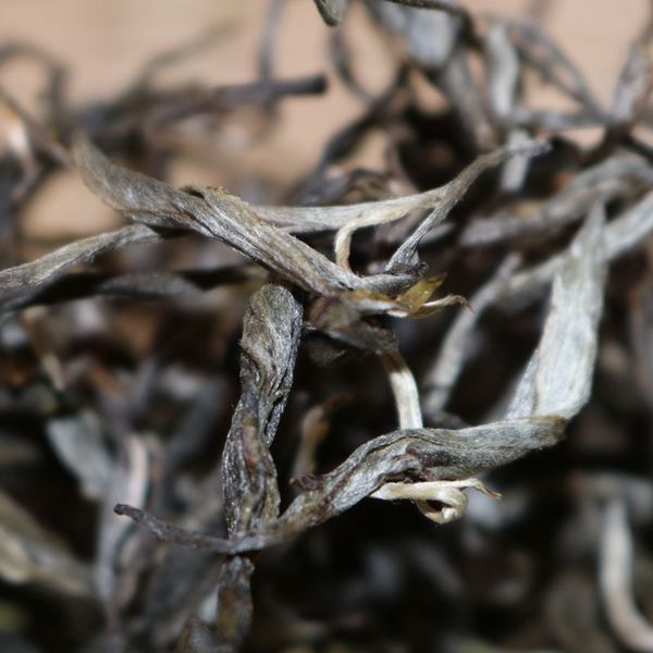 2021年帕沙古樹秋茶，你了解多少？