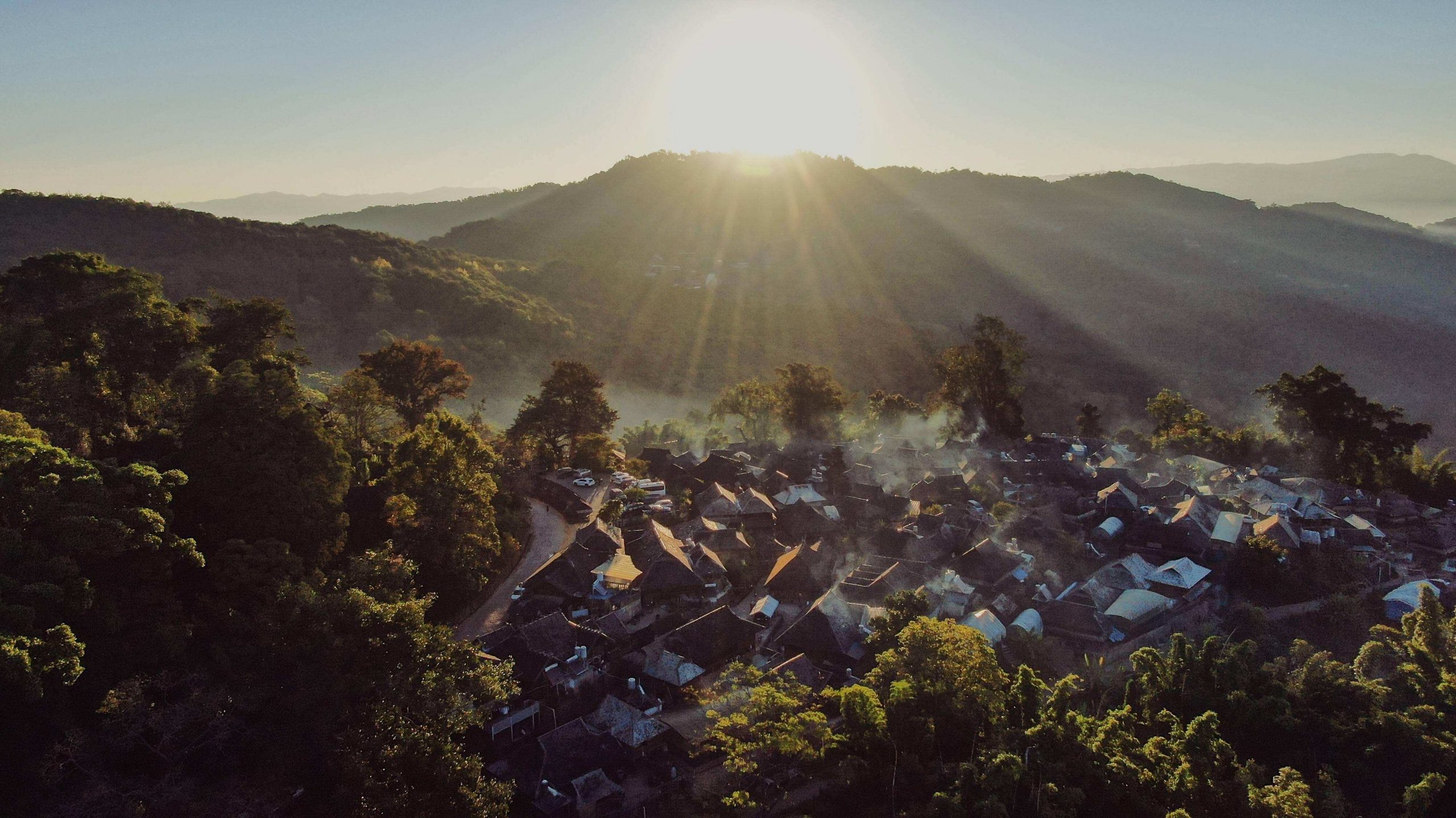2022年景邁山古樹春茶特點？