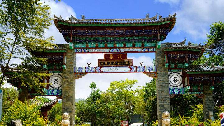 2022年易武正山在哪？易武正山是什么意思？