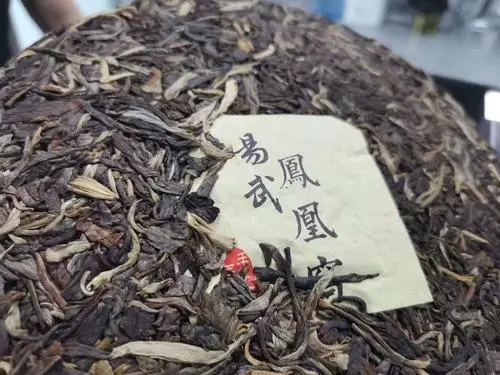 2022年鳳凰窩古樹高桿，鳳凰筑巢的地方