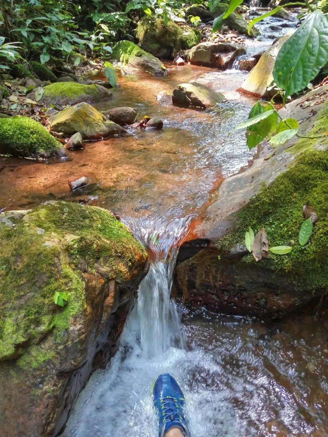 2022年銅箐河古樹春茶多少錢一公斤？