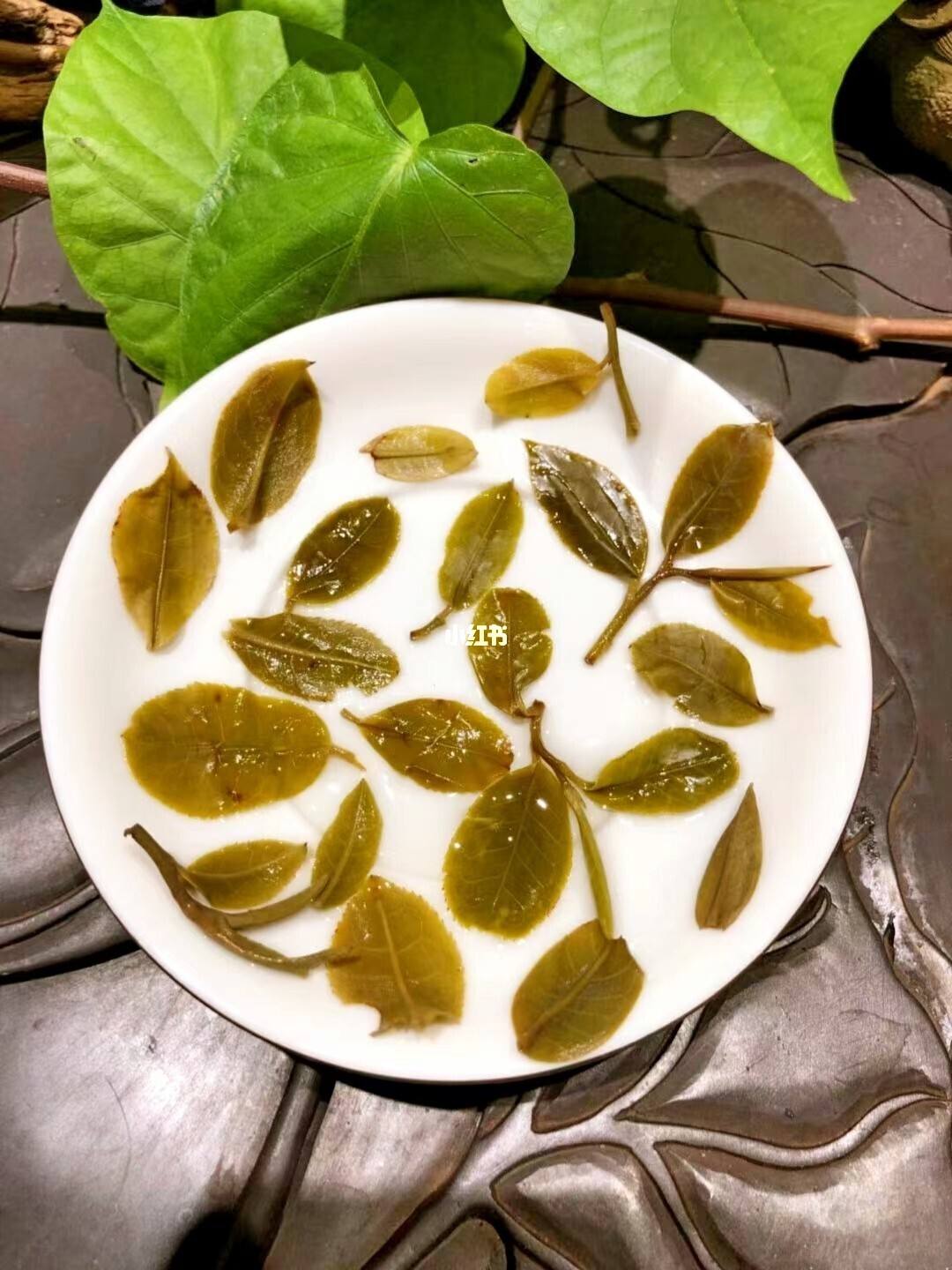 2022年倚邦貓耳朵古樹(shù)春茶多少錢一公斤？