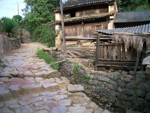 2022年蠻磚古樹(shù)春茶特點(diǎn)？