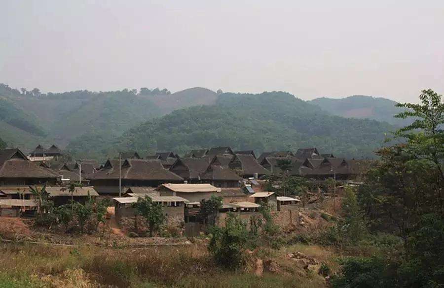 2022年革登古樹春茶特點(diǎn)？