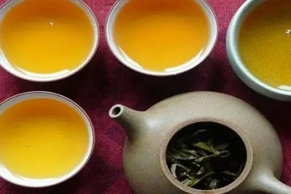 2022年普洱茶怎么泡法才正確？