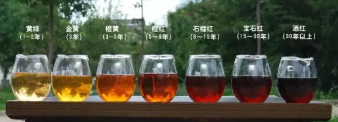 2022年普洱茶的茶湯湯色要怎么描述？