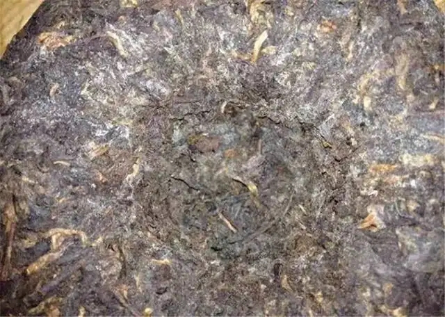 2022年普洱茶受潮發(fā)霉了怎么辦？