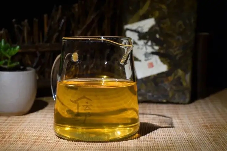 有茶油的普洱茶正常嗎？茶油是如何形成的？