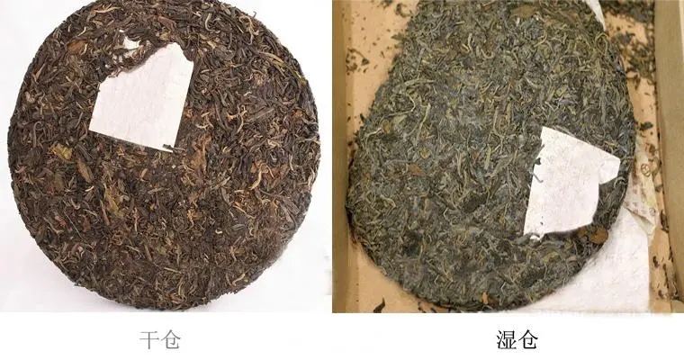 普洱茶怎么分辨干濕倉？