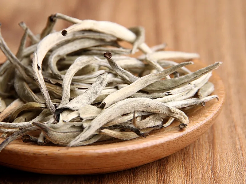 福鼎白茶、安吉白茶、云南月光白“三白”的區(qū)別