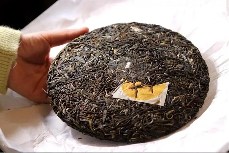 犀牛塘 | 古韻留香，帕沙之王